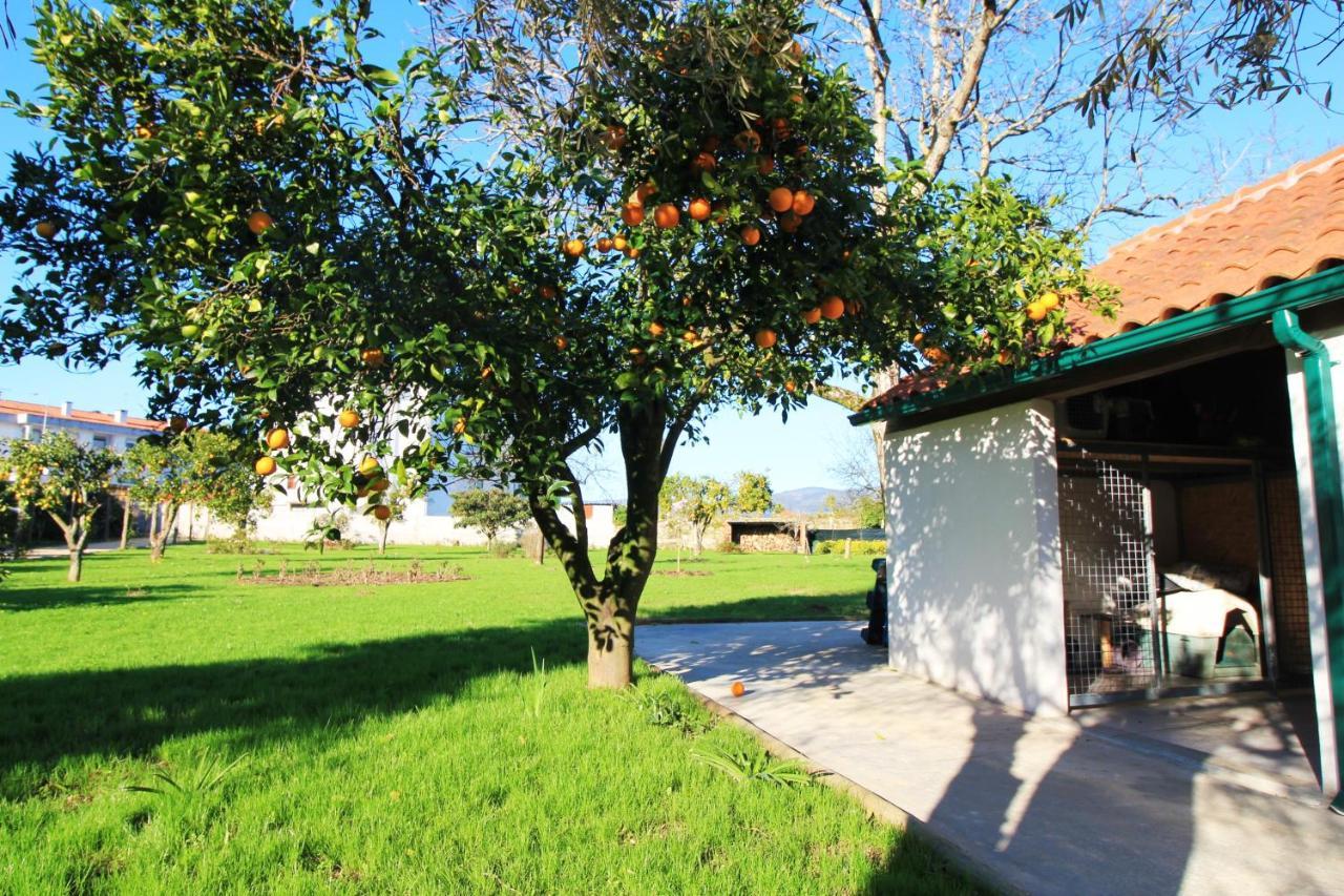 Вилла Casa Dos Ouricos Понте-де-Лима Экстерьер фото